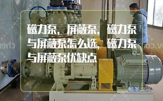 求助！面对高温介质，磁力泵与屏蔽泵怎么选？