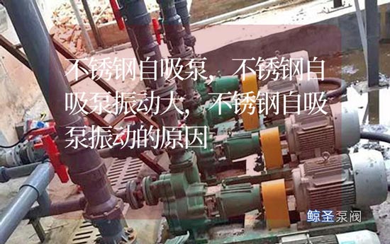 不锈钢自吸泵振动大的五大原因，简单而有效！