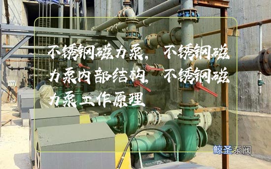 求助！不锈钢磁力泵内部结构图及工作原理是什么？
