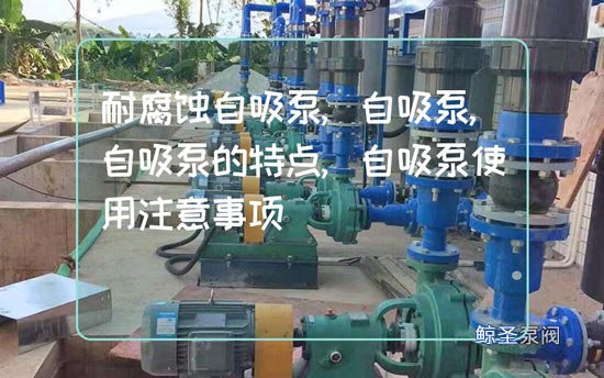 耐腐蚀自吸泵的特点和使用注意事项，避免出错