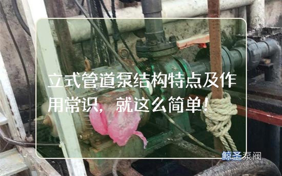 立式管道泵结构特点及作用常识，就这么简单！