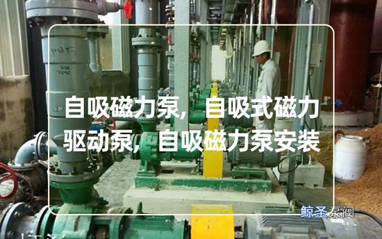 自吸磁力泵的安装及拆装顺序说明，强烈推荐！