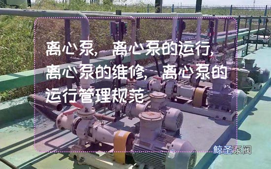不要告诉别人，离心泵的运行管理十条规范