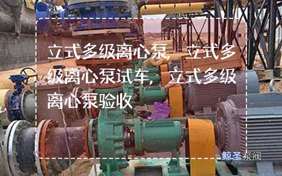 立式多级离心泵试车及其验收步骤，你需要知道
