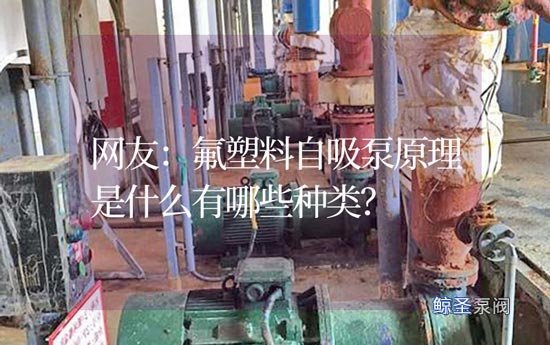 网友：氟塑料自吸泵原理是什么有哪些种类？