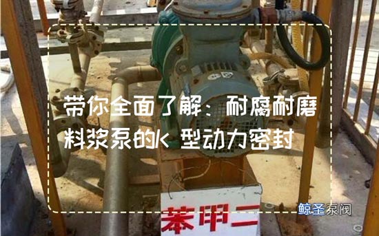 带你全面了解：耐腐耐磨料浆泵的K型动力密封