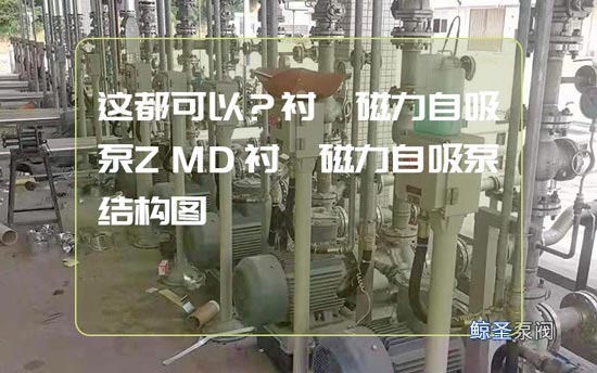 这都可以？衬氟磁力自吸泵ZMD衬氟磁力自吸泵结构图