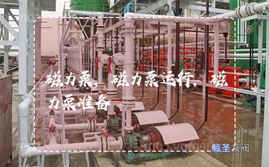 请问：磁力泵运行前需要做什么准备？
