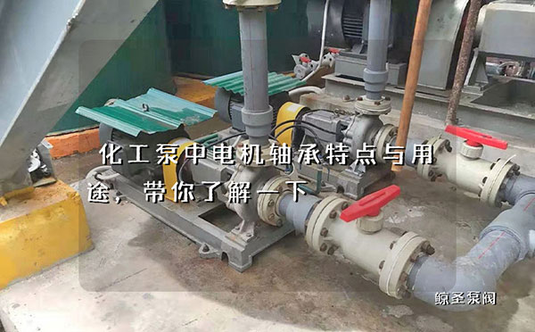 化工泵中电机轴承特点与用途，带你了解一下