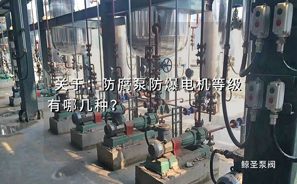 关于：防腐泵防爆电机等级有哪几种？
