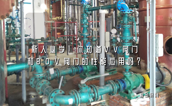 新人必学！你知道VV阀门和BDV阀门的性能应用吗？