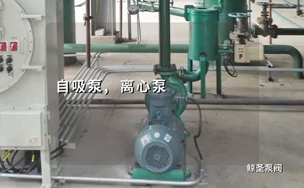 急!自吸泵的工作原理特点有哪些,与离心泵有什么不同呢?