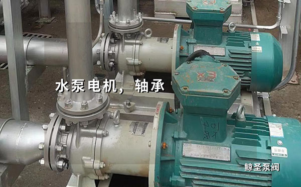 水泵电机轴承安装技巧和注意事项，你都对了吗