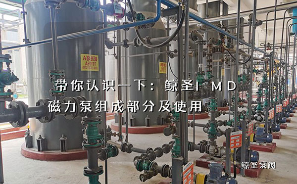 带你认识一下：鲸圣IMD磁力泵组成部分及使用