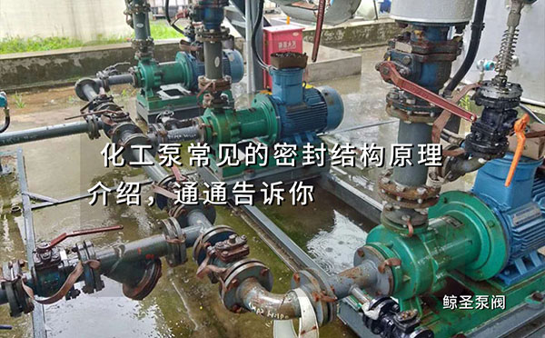 化工泵常见的密封结构原理介绍，通通告诉你