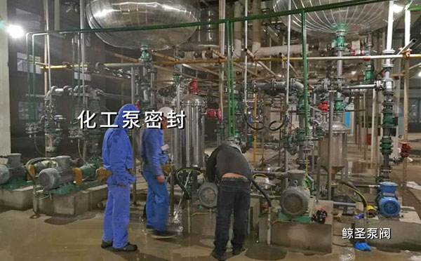 化工泵常见的密封结构原理介绍，通通告诉你