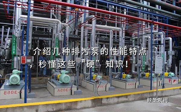 介绍几种排污泵的性能特点，秒懂这些“硬”知识！
