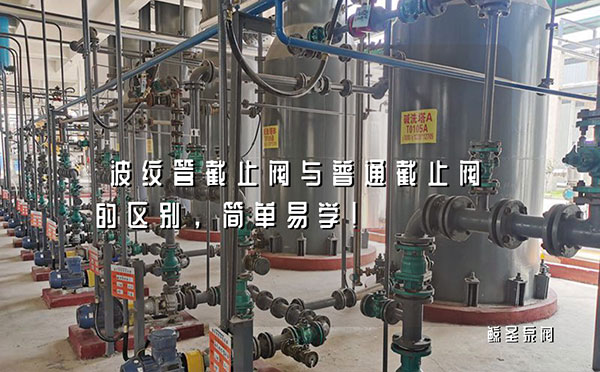 波纹管截止阀与普通截止阀的区别，简单易学！