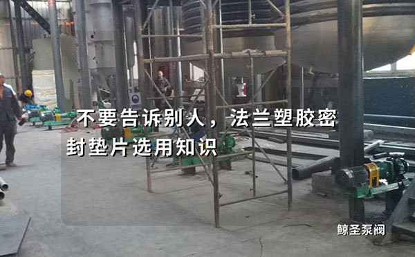 不要告诉别人，法兰塑胶密封垫片选用知识