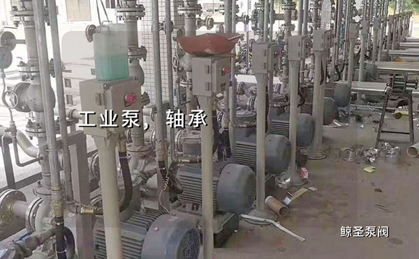 工业泵设备轴承安装技巧与注意事项，注意很重要