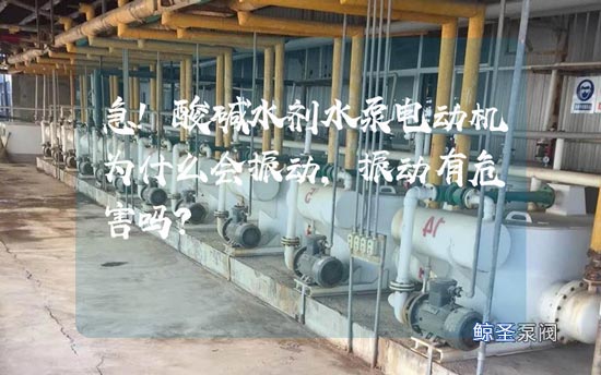 急!酸碱水剂水泵电动机为什么会振动,振动有危害吗?
