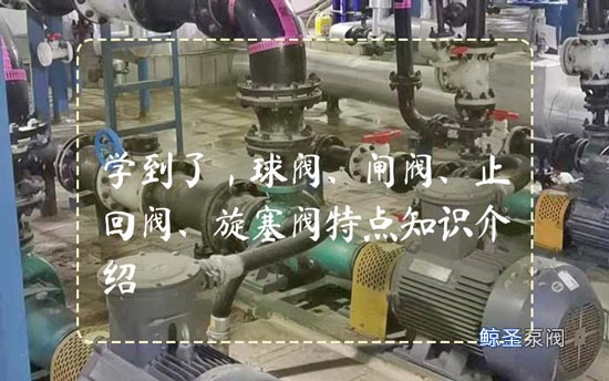 学到了，球阀、闸阀、止回阀、旋塞阀特点知识介绍