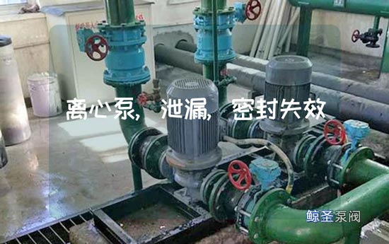 离心泵泄漏跟密封失效原因分析（化工人必看）