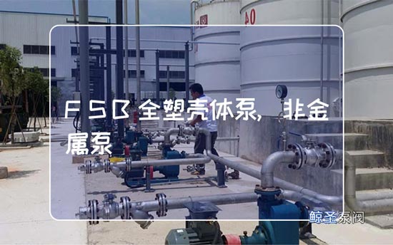 网友：FSB全塑壳体泵,非金属泵的结构特点有哪些呢?
