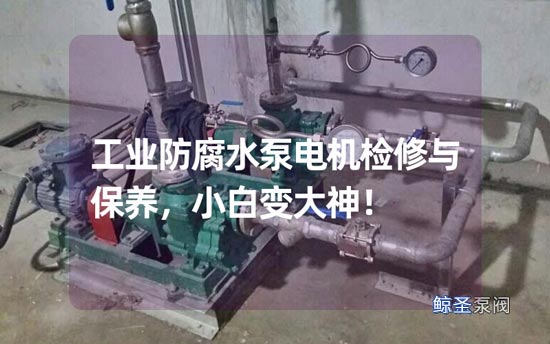 工业防腐水泵电机检修与保养，小白变大神！