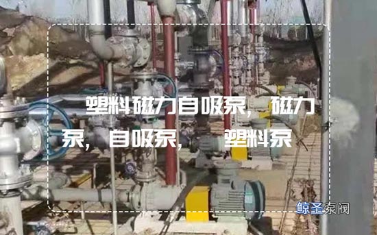 答案:什么是氟塑料磁力自吸泵？