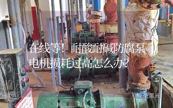 在线等！耐酸耐碱防腐泵电机损耗过高怎么办？