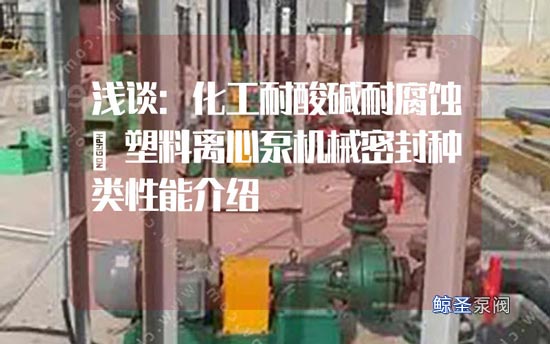 浅谈:化工耐酸碱耐腐蚀氟塑料离心泵机械密封种类性能介绍