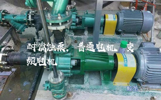 关于：耐腐蚀泵普通电动机和变频电机的区别在哪？