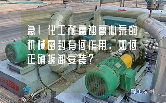 急!化工耐腐蚀离心泵的机械密封有何作用,如何正确拆卸安装?