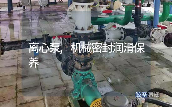 离心泵机械密封使用及润滑保养，看完才知道！