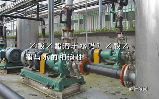 乙酸乙酯溶于水吗？乙酸乙酯与水的相溶性