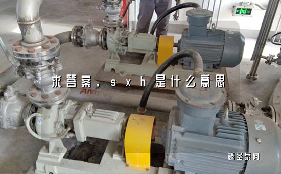 求答案,sxh是什么意思