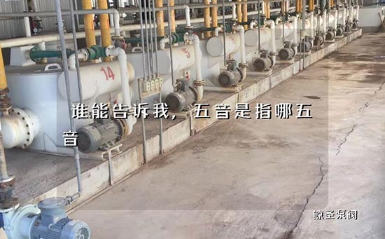谁能告诉我,五音是指哪五音