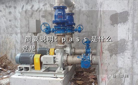 简要说明：pass是什么意思