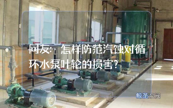 网友:怎样防范汽蚀对循环水泵叶轮的损害?