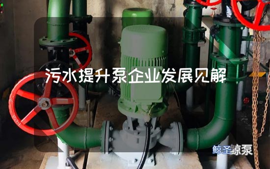 污水提升泵企业发展见解