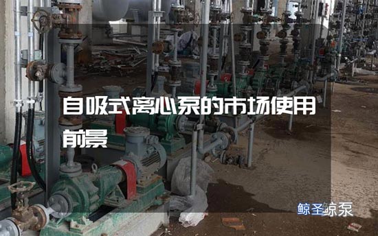 自吸式离心泵的市场使用前景