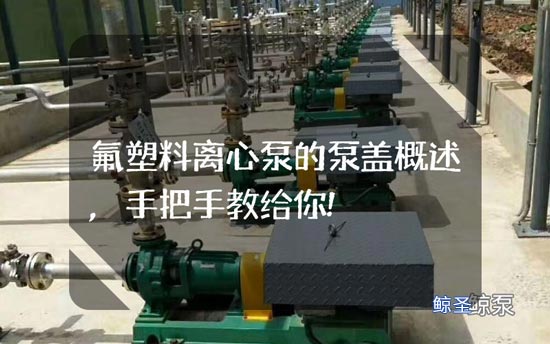 氟塑料离心泵的泵盖概述手把手教给你