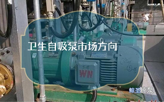 卫生自吸泵市场方向