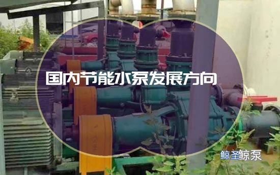 国内节能水泵发展方向