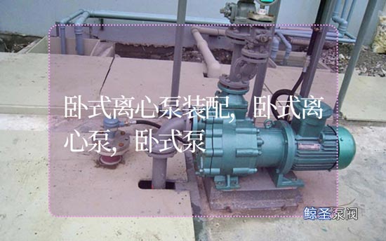 同学们:卧式离心泵怎样装配?