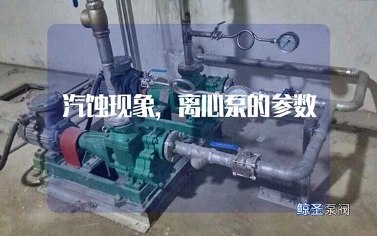 日常,怎样预防离心泵出现汽蚀?