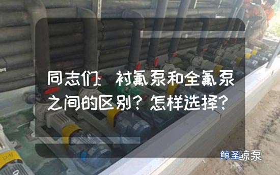 同志们:衬氟泵和全氟泵之间的区别?怎样选择?