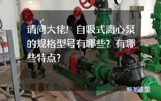 请问大佬!自吸式离心泵的规格型号有哪些?有哪些特点?