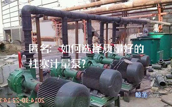 匿名:如何选择质量好的柱塞计量泵?